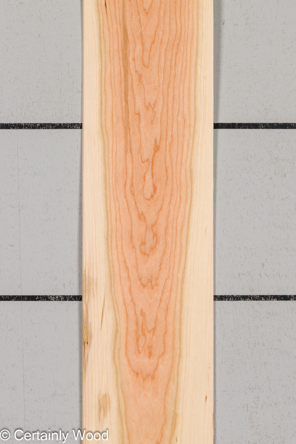 WS_16_CHER_26170-1C_1