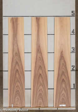 WS_16_WALNUT_26135-1H_2