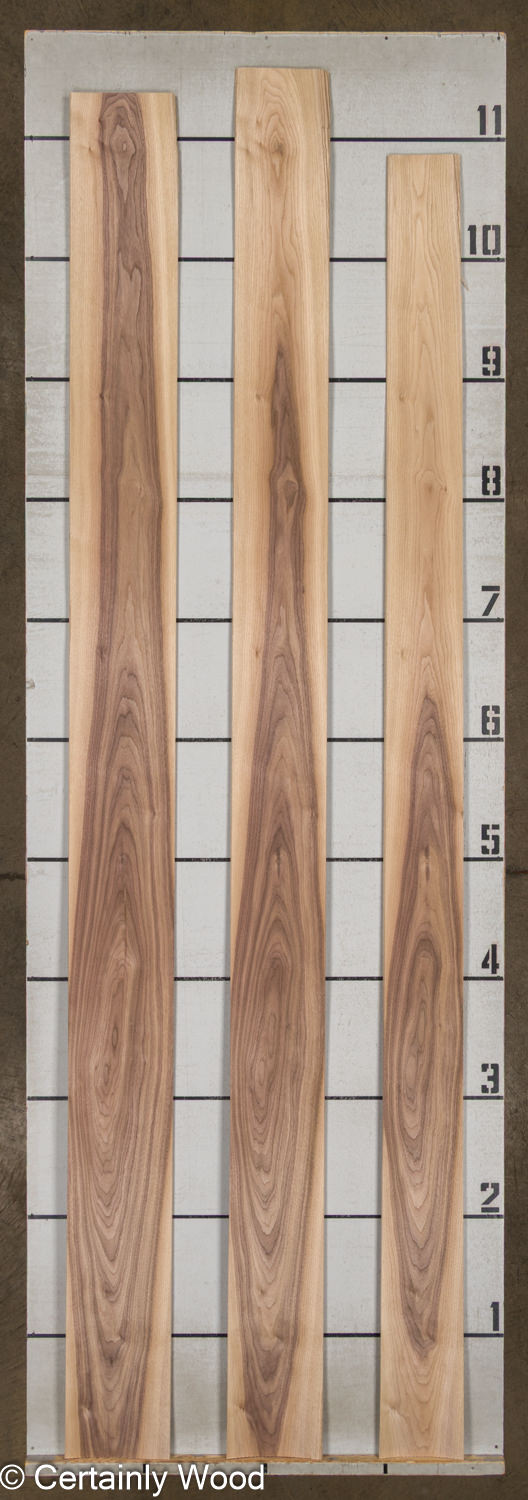 WS_16_WALNUT_26135-2C_2 WS_16_WALNUT_26135-2C_2