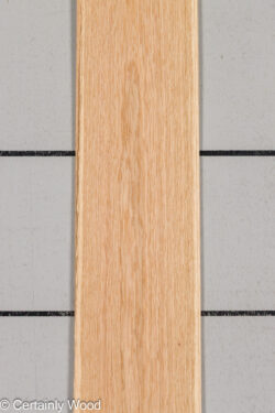 WS_16_W_OAK_26137-1C_1