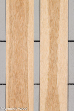 WS_16_W_OAK_26137-2B_1