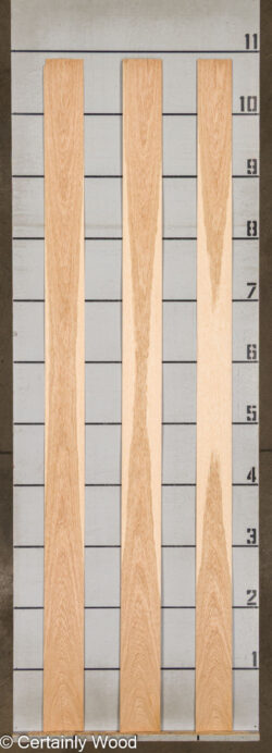 WS_16_W_OAK_26137-2B_2