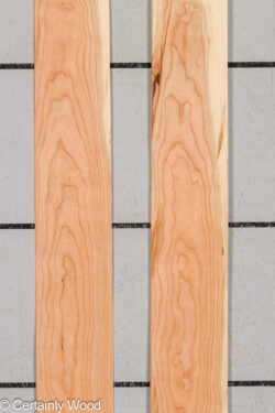 WS_24_CHER_26187-1D_1