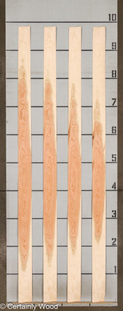 WS_24_CHER_26187-1D_2