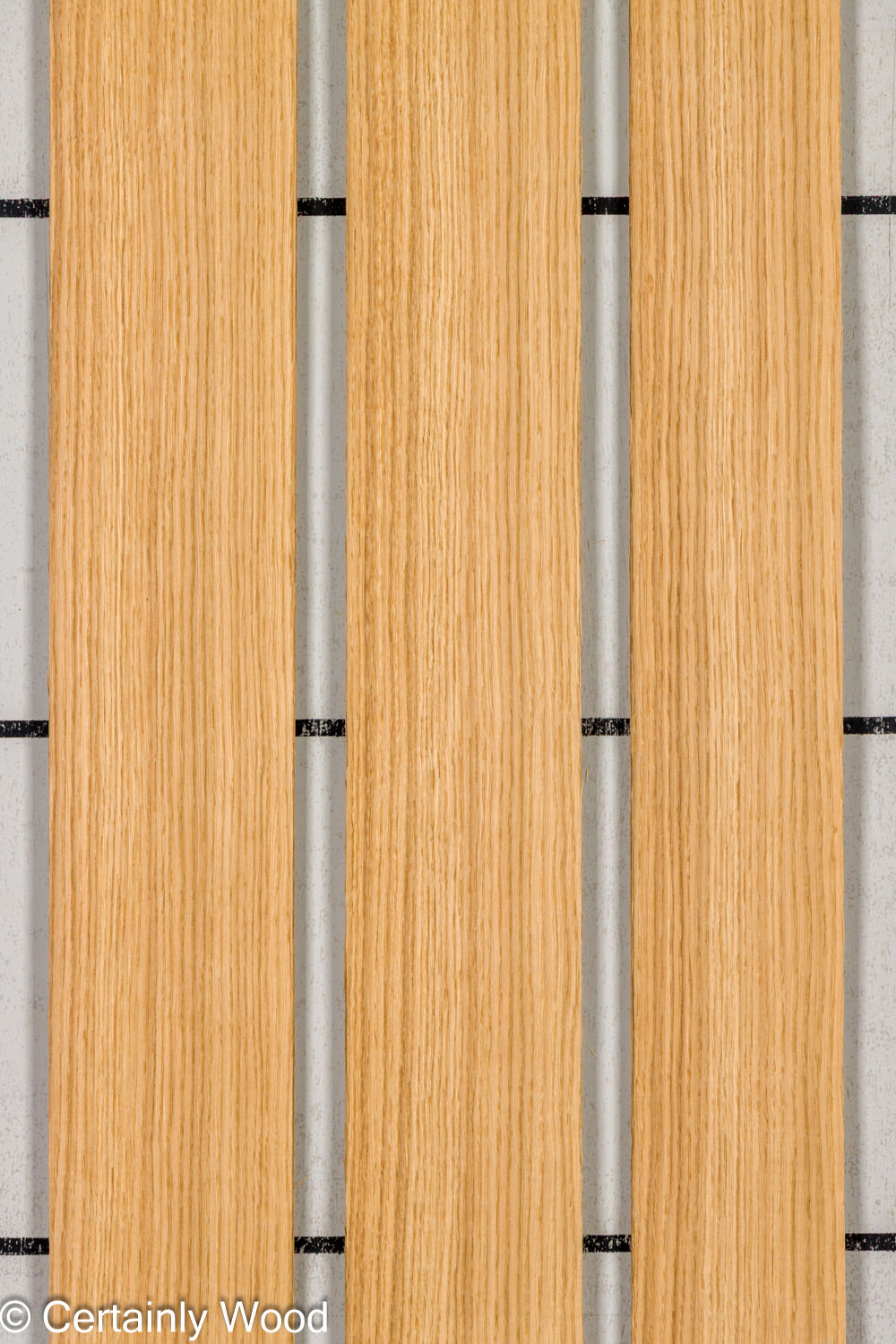Featured Product Image