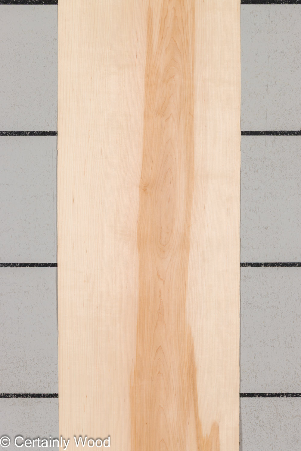 WS_MAPLE_25113-2_1 WS_MAPLE_25113-2_1