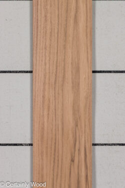 WS_WALNUT_26171-1C_1