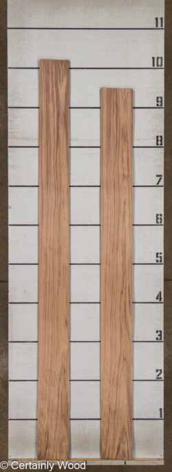 WS_WALNUT_26171-1C_2