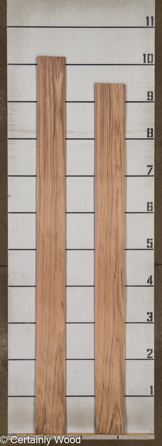 WS_WALNUT_26171-1C_2 WS_WALNUT_26171-1C_2