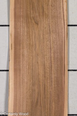 16_WALNUT_26195-1A_1