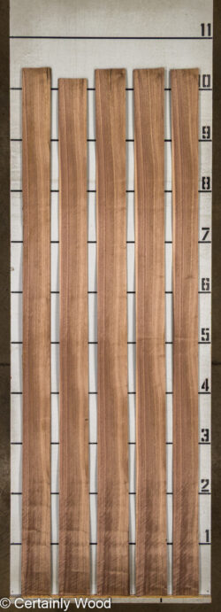 16_WALNUT_26196-3_2