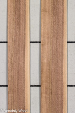 16_WALNUT_26196-4_1