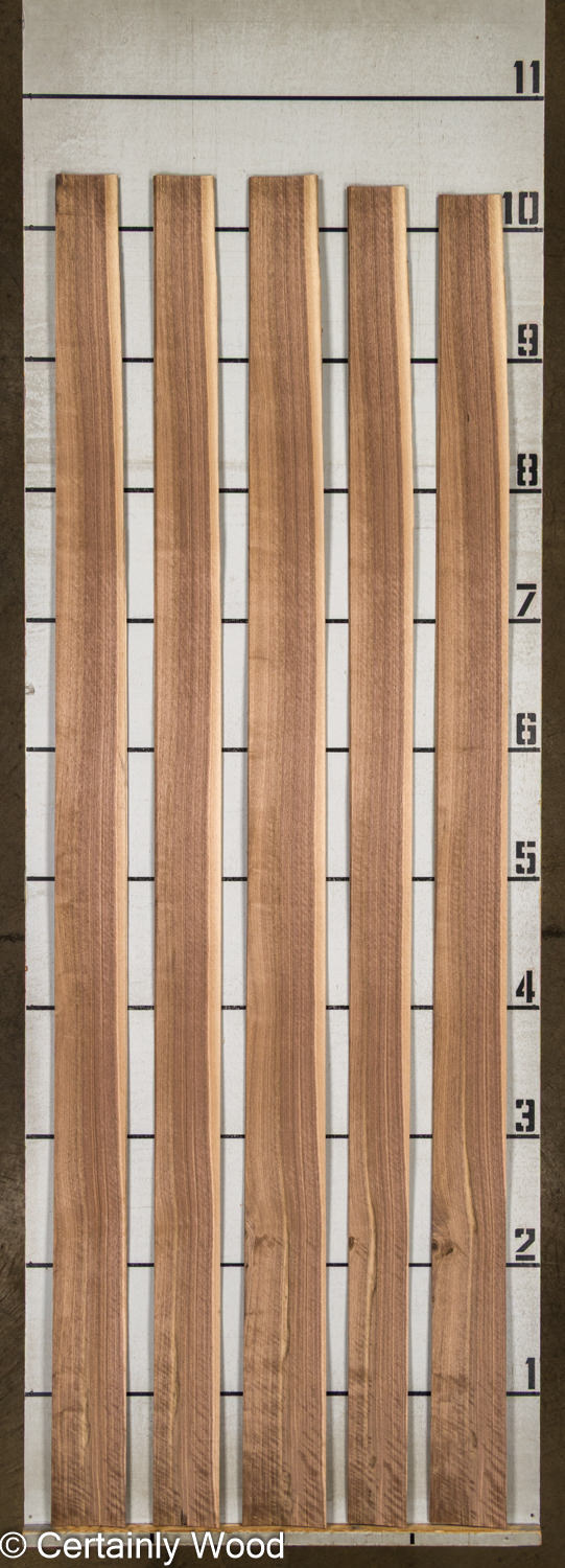 16_WALNUT_26196-4_2 16_WALNUT_26196-4_2