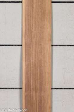 16_WALNUT_26197-3_1