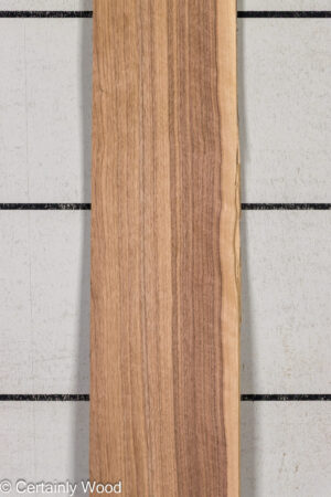 1/16 WALNUT 26197-4