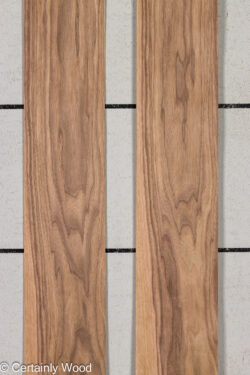 16_WALNUT_26198-2D_1