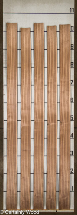16_WALNUT_26198-3_2
