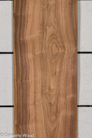 1/16 WALNUT 26210-2
