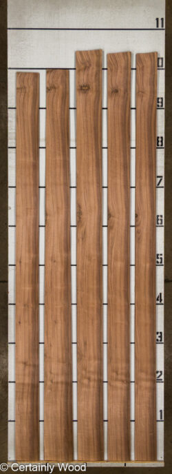 16_WALNUT_26210-3_2
