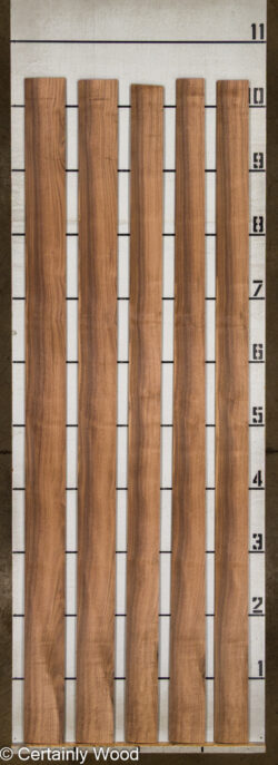 16_WALNUT_26210-4_2