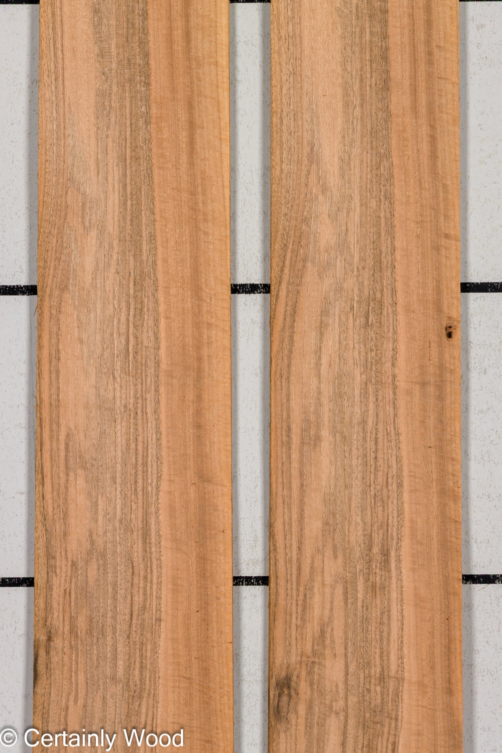 16_WALNUT_26211-1_1
