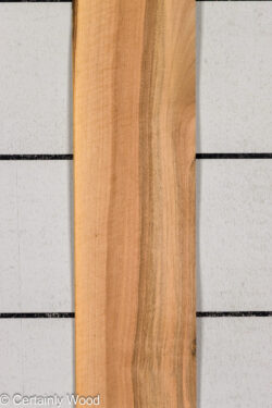 16_WALNUT_26211-3_1