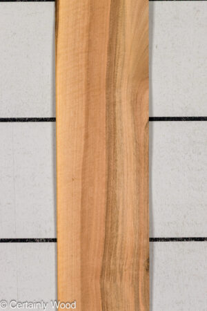 1/16 WALNUT 26211-3