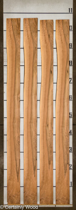 16_WALNUT_26211-3_2