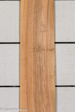 16_WALNUT_26211-6_1