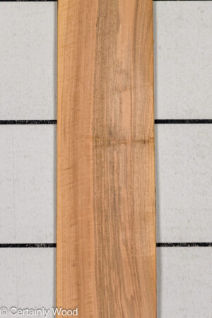 1/16 WALNUT 26211-6