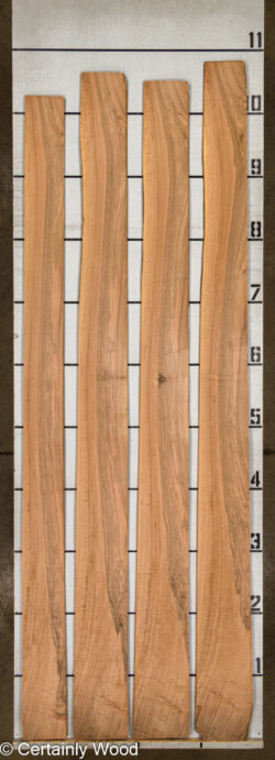 16_WALNUT_26211-6_2