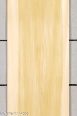 24_POP_26226-1D_1