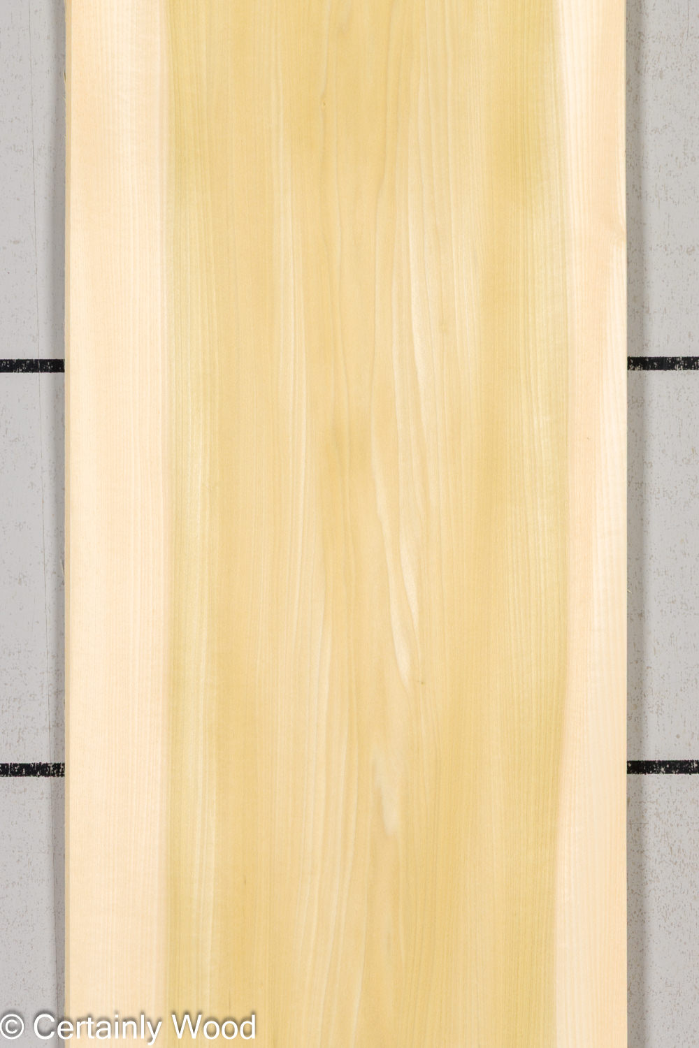 24_POP_26226-1D_1