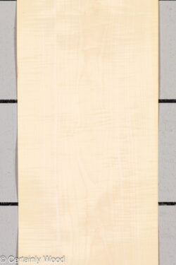 C_SYC_26213-1_1