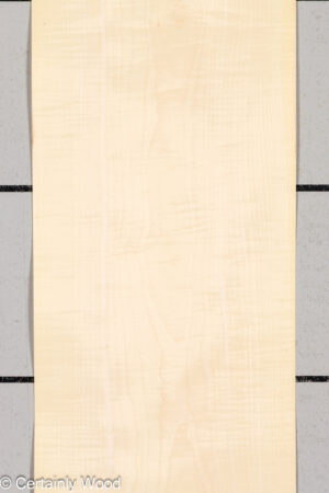 C SYC 26213-1