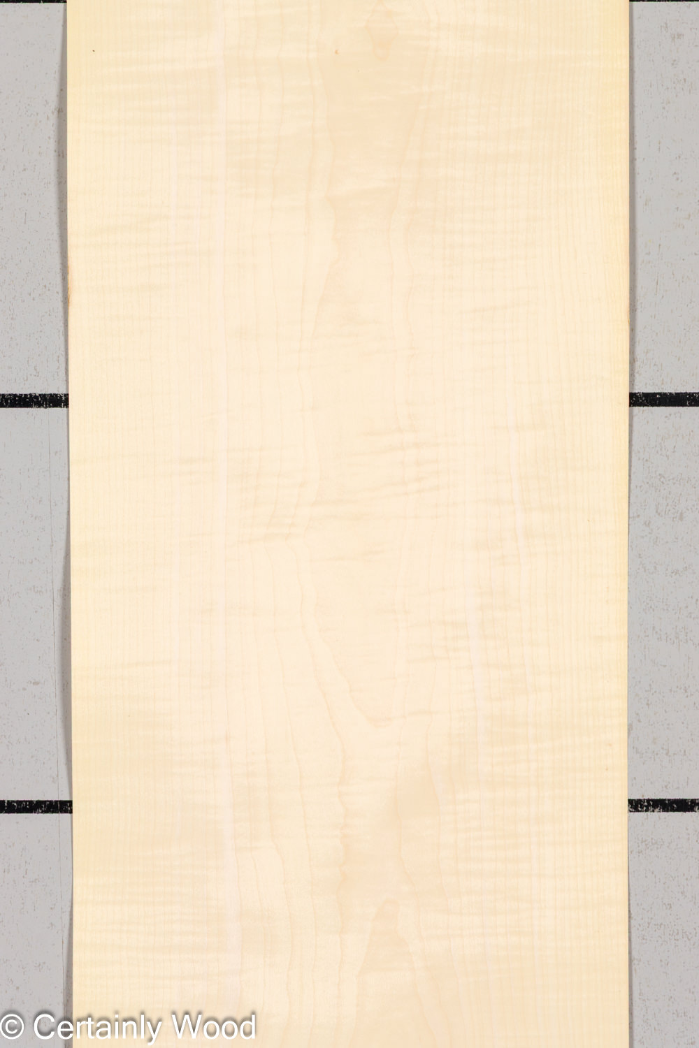C_SYC_26213-1_1