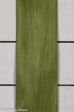 DYED_GREEN_26232-2_1