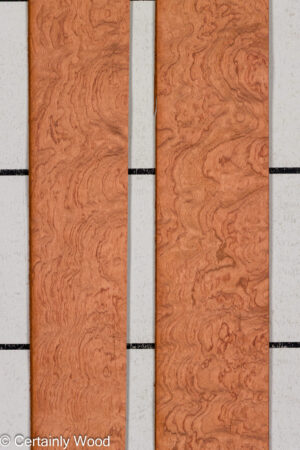 KEWAZINGA 26074-12