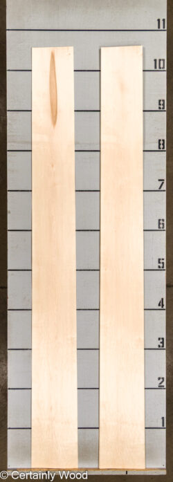 MAPLE_26222-1_2