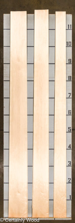 MAPLE_26222-2_2