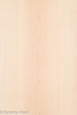 MAPLE_26223-1A_1