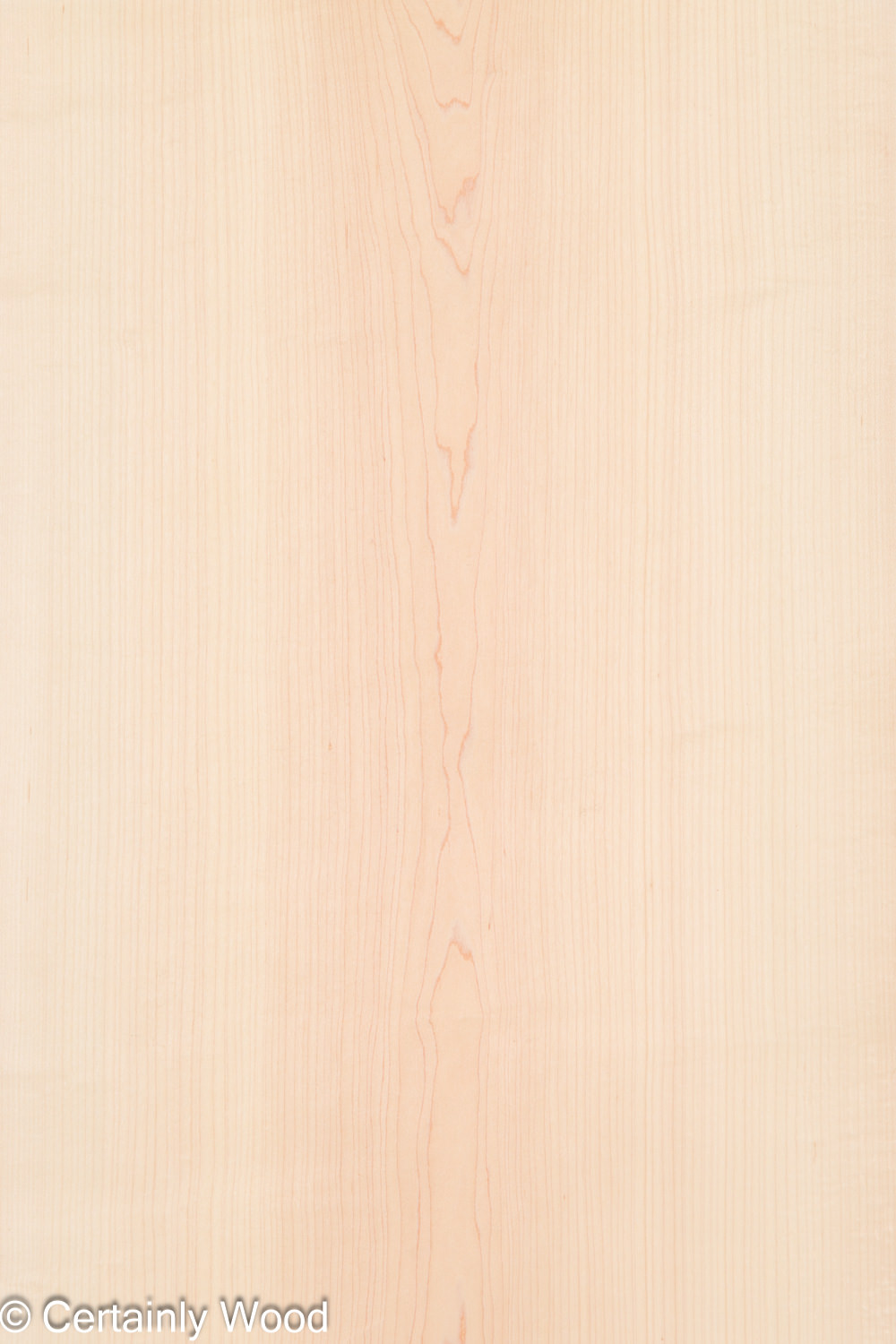 MAPLE_26223-1A_1