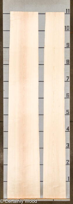 MAPLE_26223-1A_2