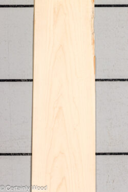 MAPLE_26223-1B_1