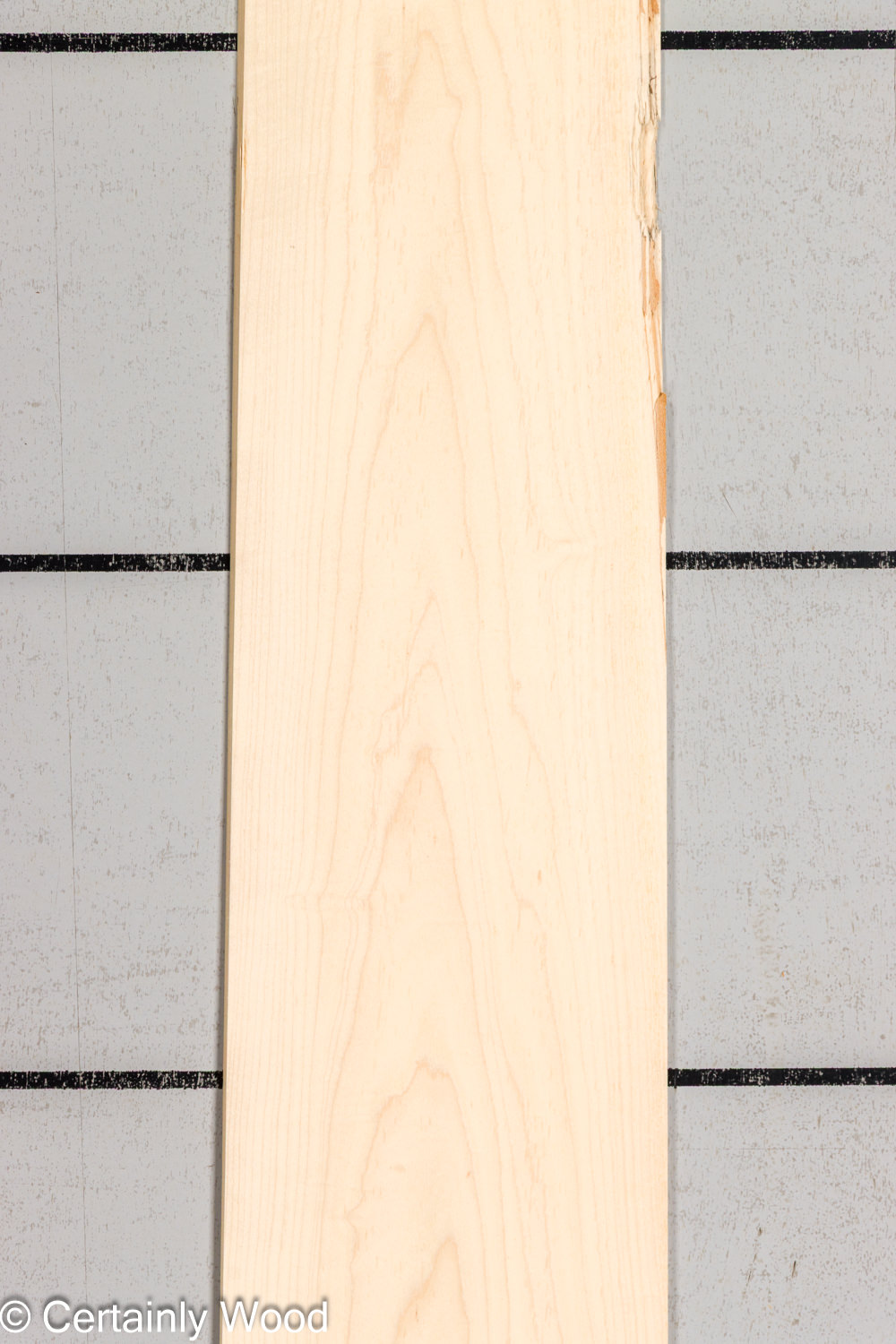 MAPLE_26223-1B_1