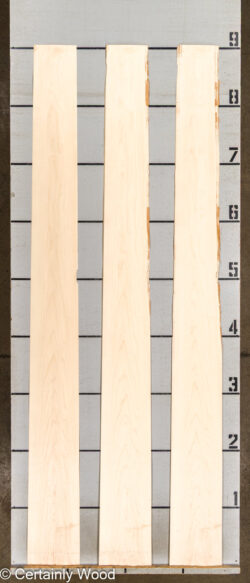 MAPLE_26223-1B_2