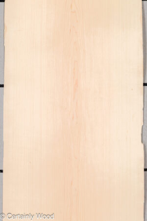 MAPLE 26223-2