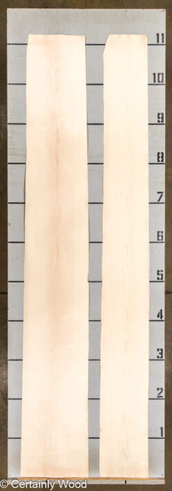 MAPLE_26223-2_2