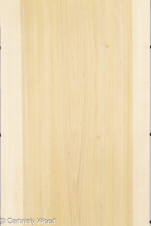 POPLAR 26224-1A