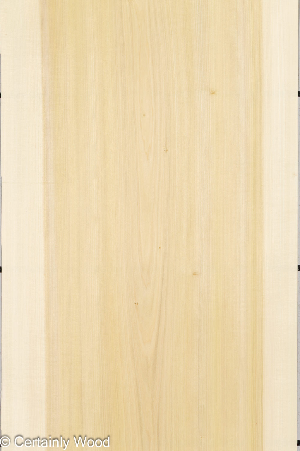 POPLAR_26224-1A_1
